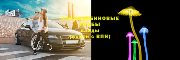 гидропоника Арсеньев