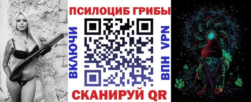Псилоцибиновые грибы Psilocybe  Ряжск 